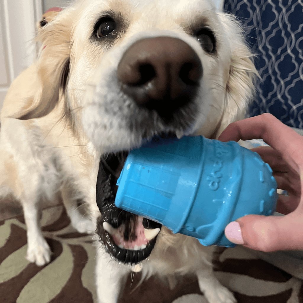 Farm To Pet Dog Treat Dispensers