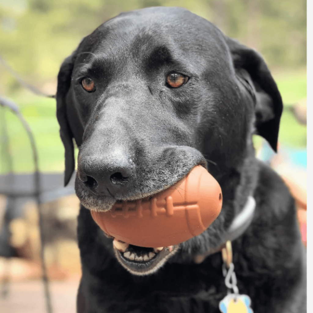 Farm To Pet Dog Treat Dispensers