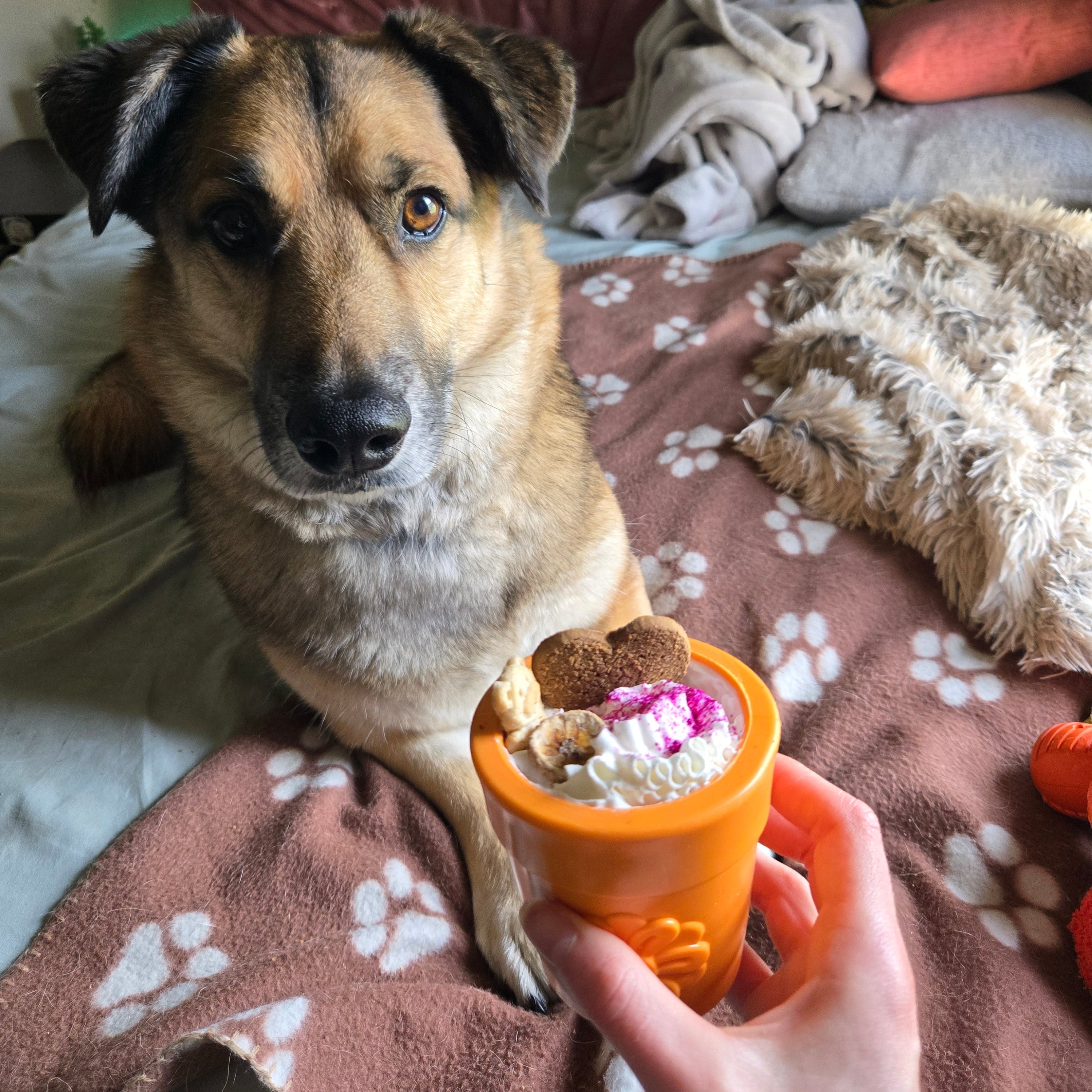 Farm To Pet Dog Treat Dispensers