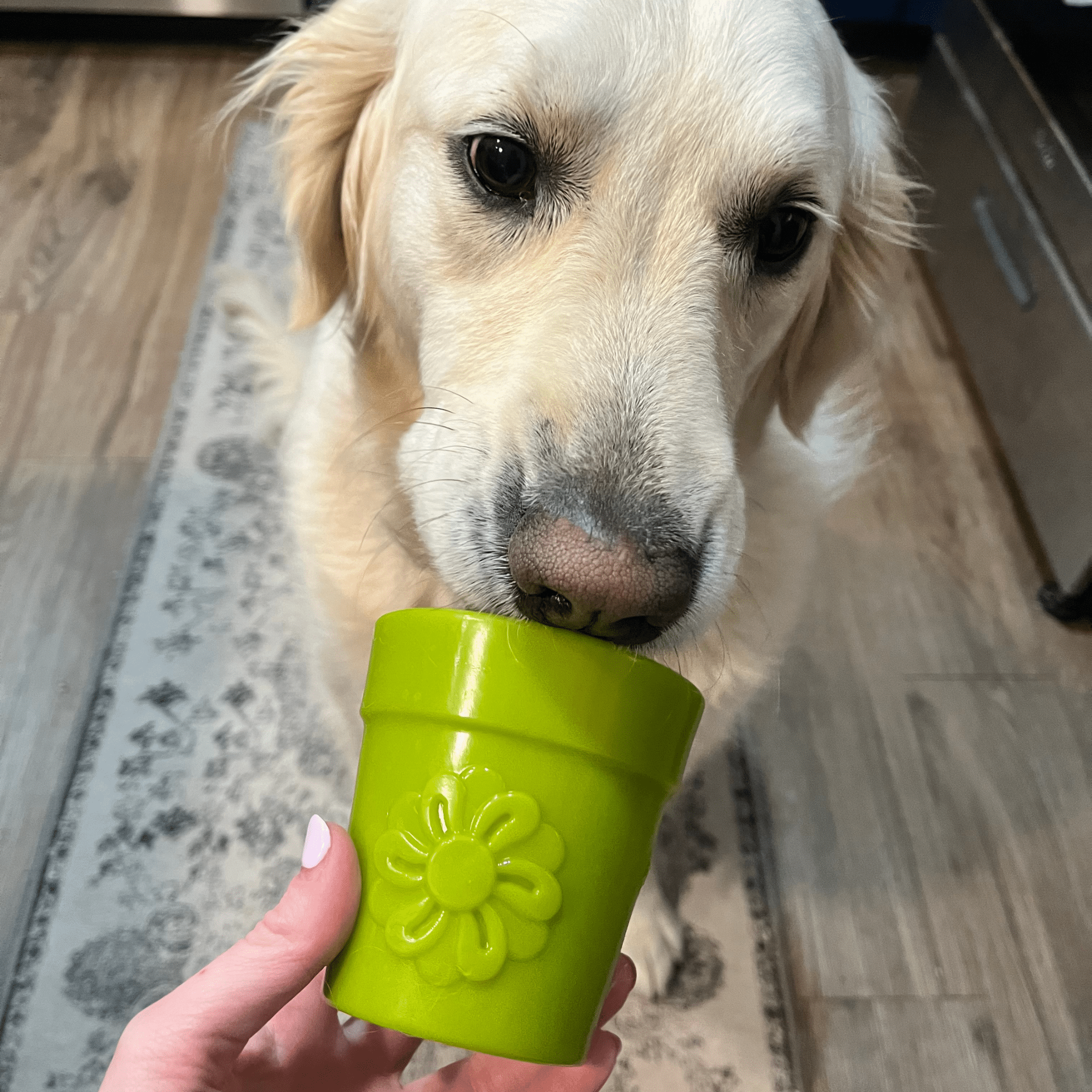 Farm To Pet Dog Treat Dispensers