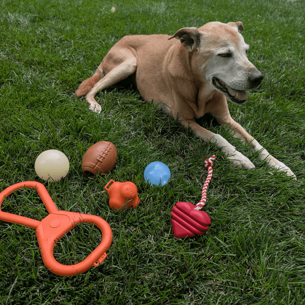 Farm To Pet Tug Toys
