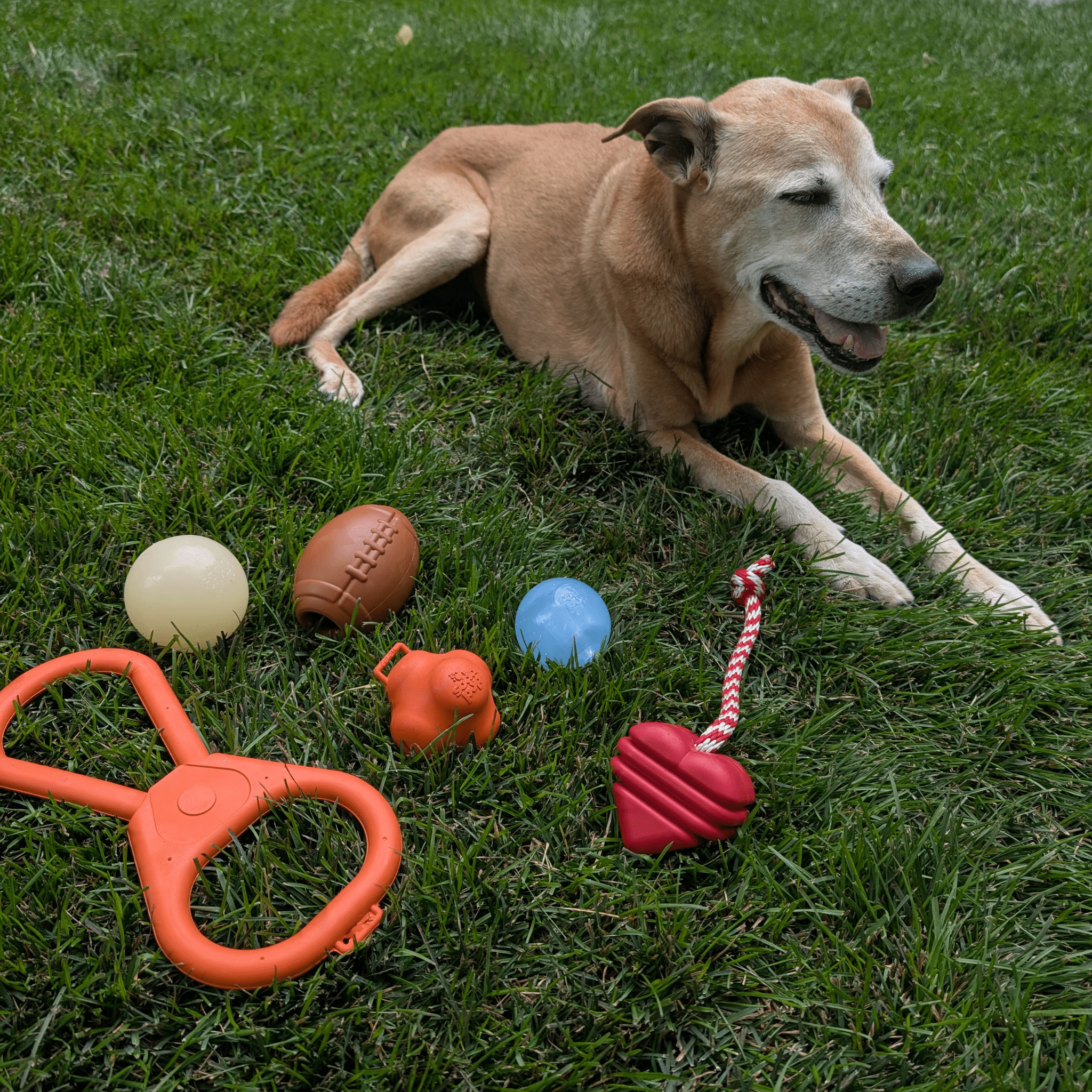 Farm To Pet Tug Toys