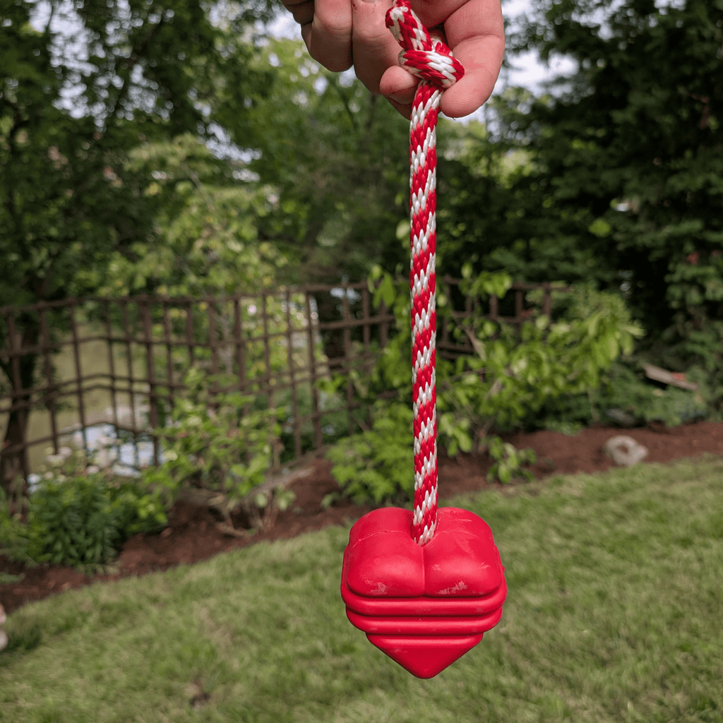 Farm To Pet Tug Toys