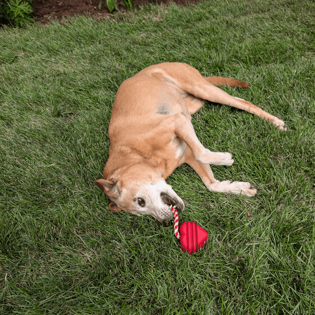 Farm To Pet Tug Toys