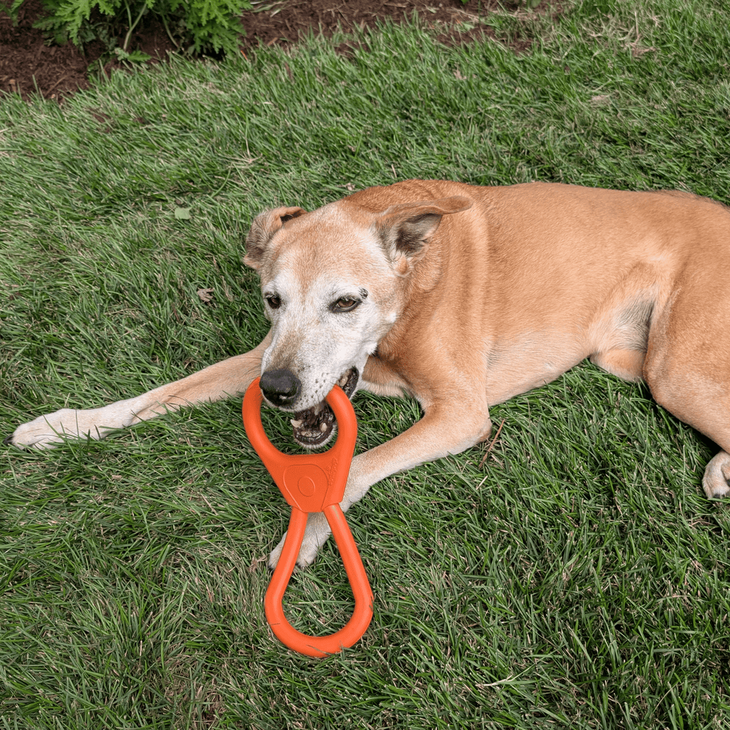 Farm To Pet Tug Toys