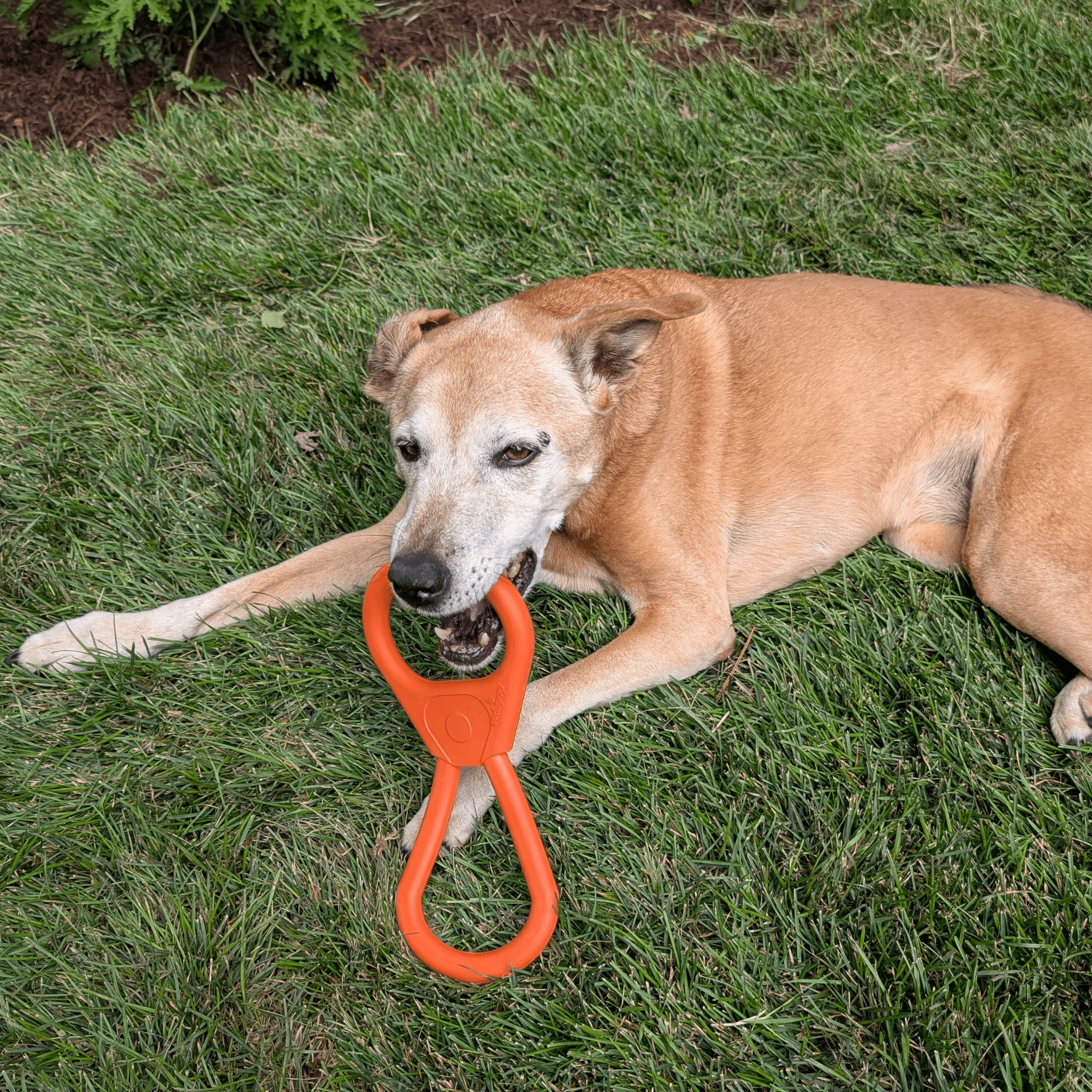 Farm To Pet Tug Toys