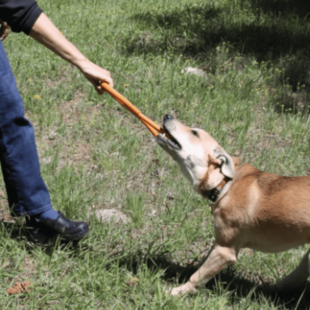 Farm To Pet Tug Toys