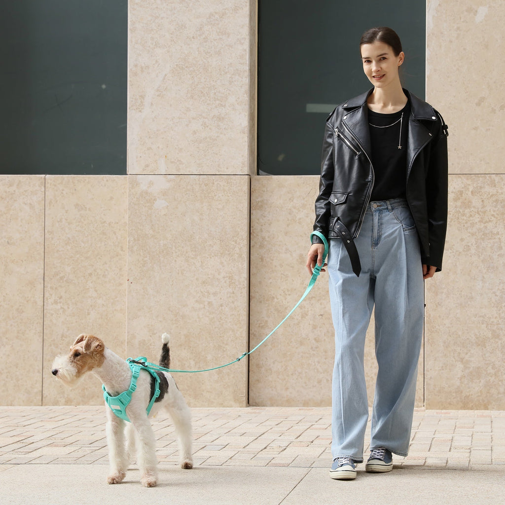 Pehom | Padded Active Pet Leash - Mint Green