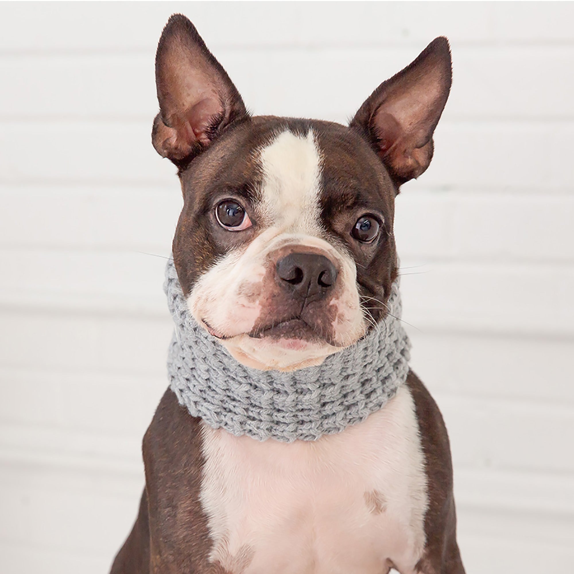 GF PET® Chalet Tube Scarf - Heather Grey
