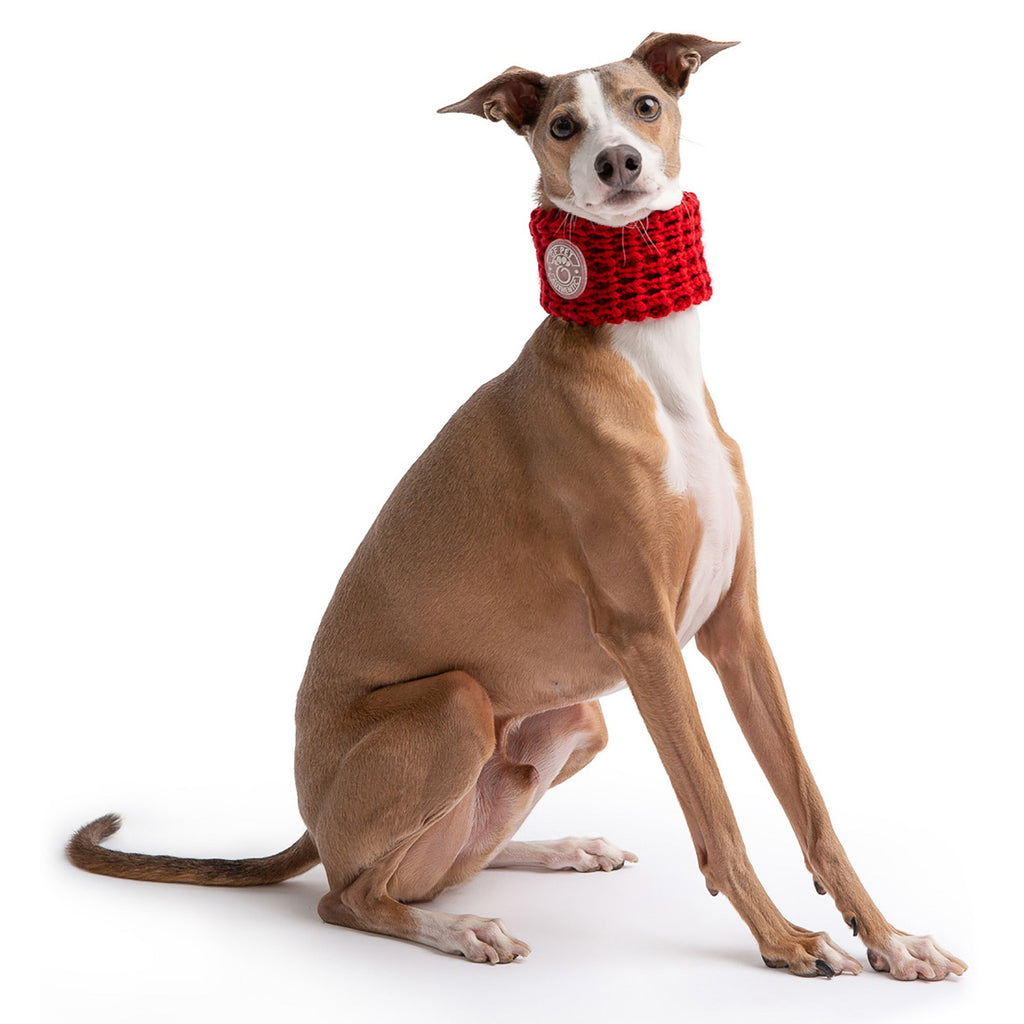 GF PET® Chalet Tube Scarf - Red