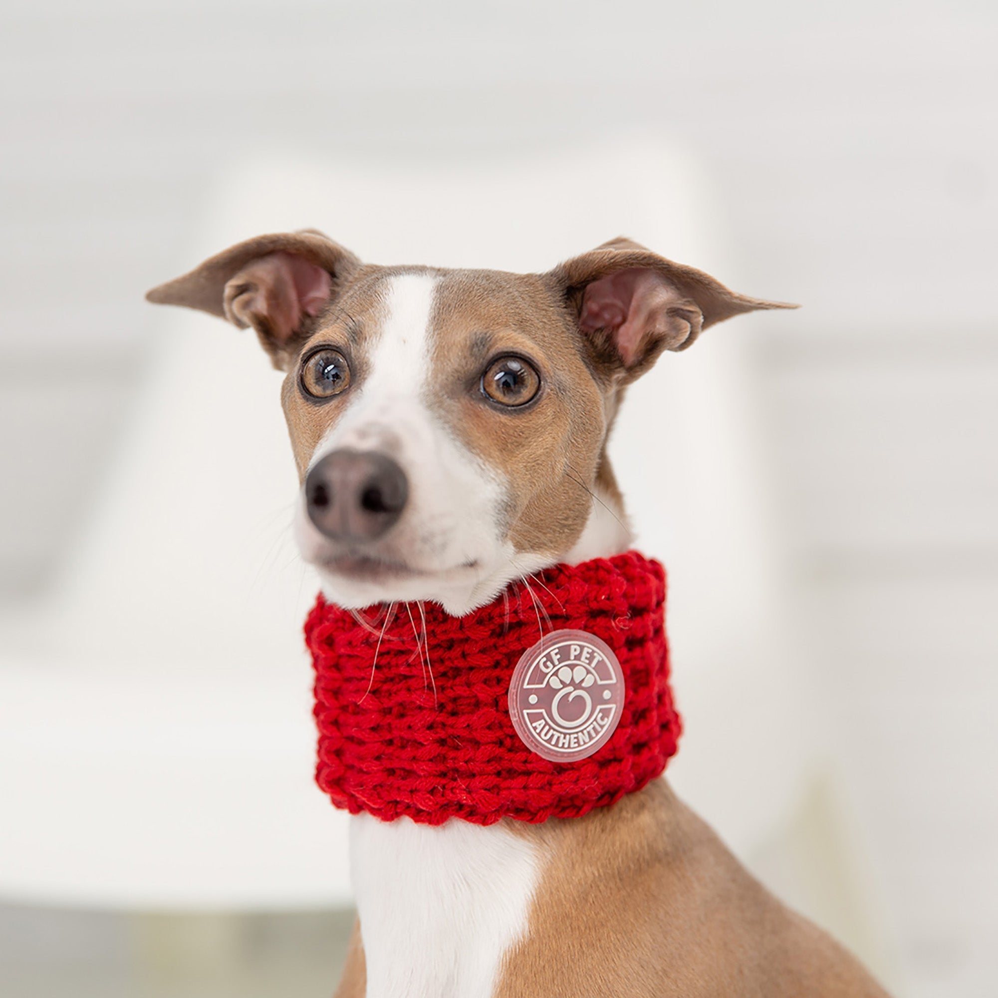 GF PET® Chalet Tube Scarf - Red