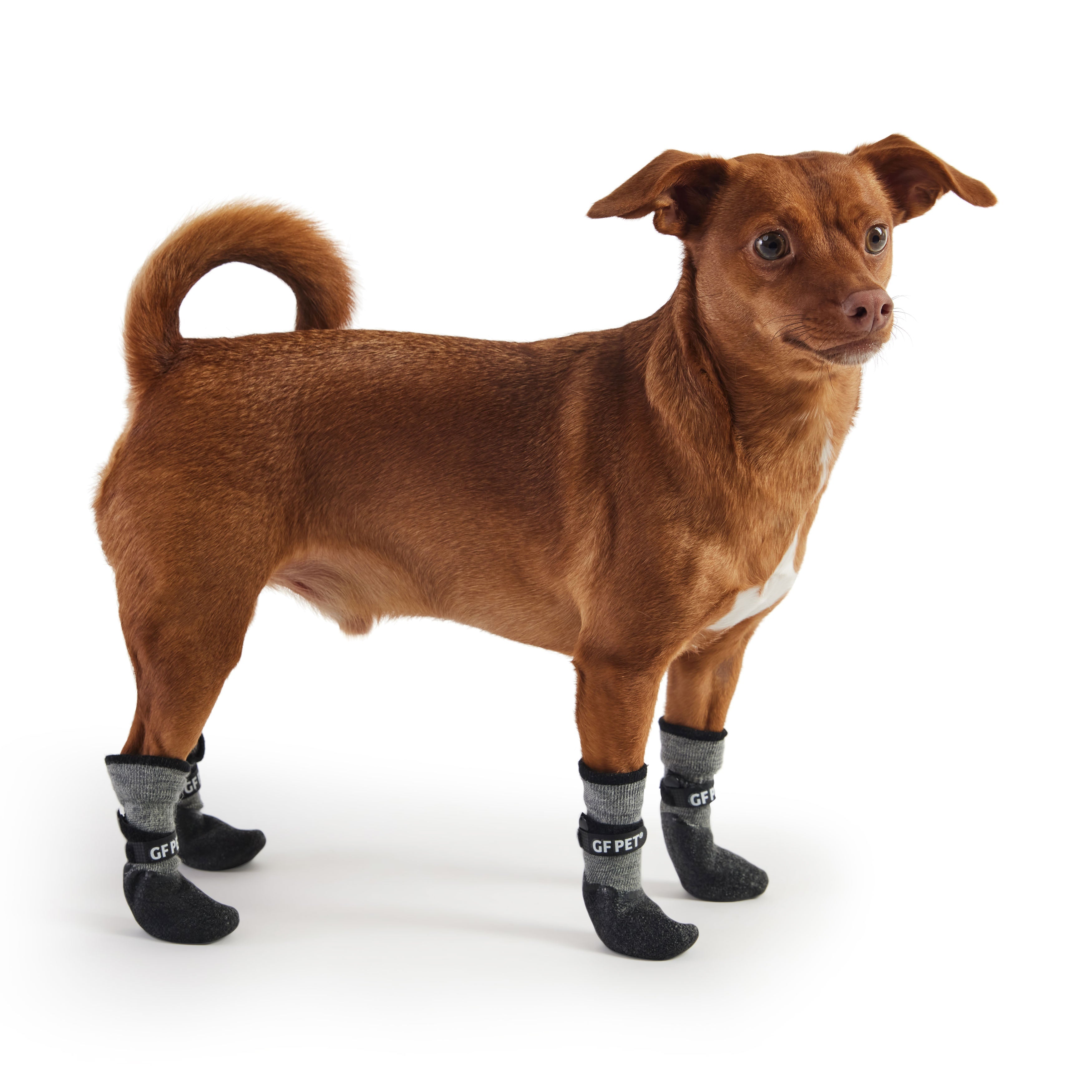 GF PET® All Terrain Boots - Charcoal