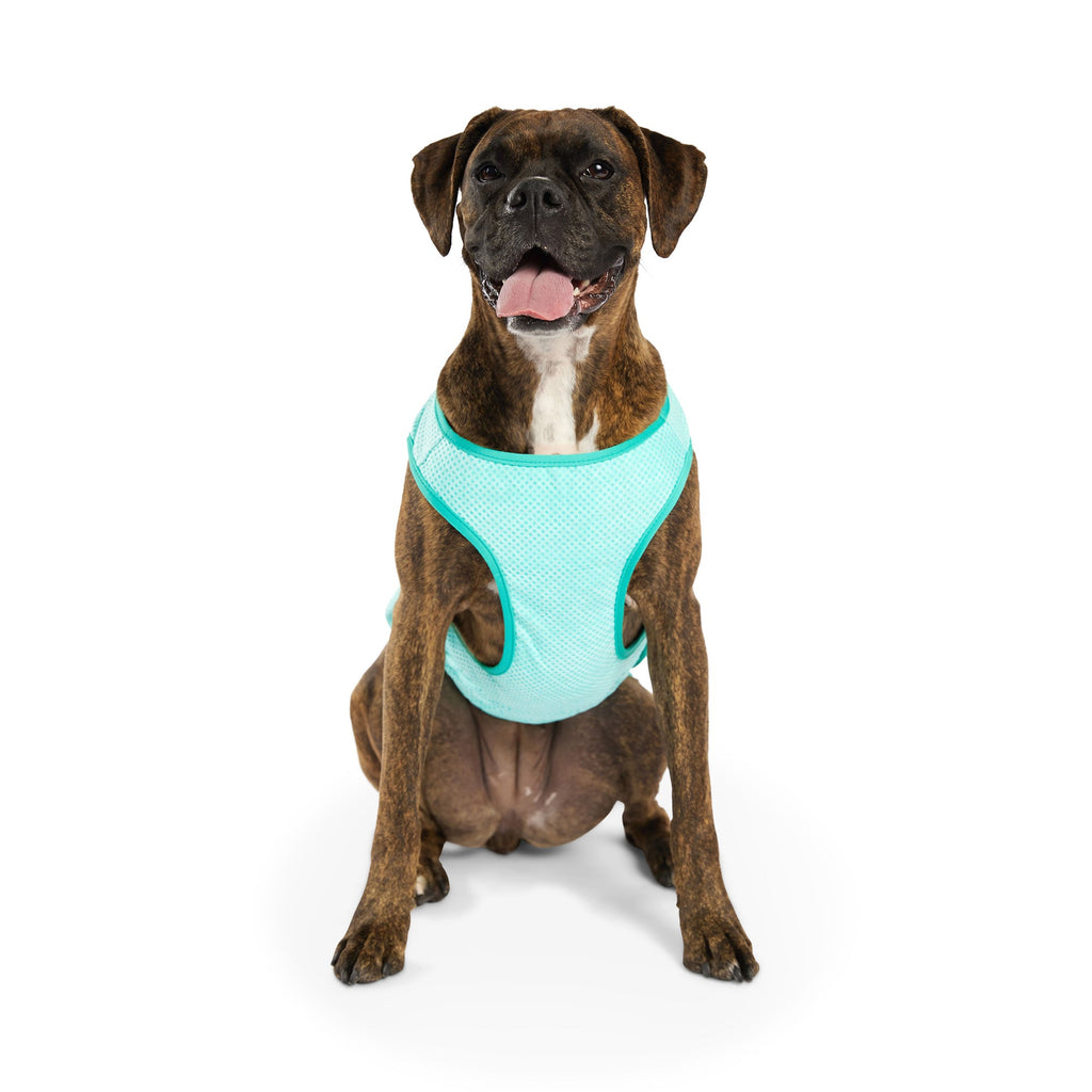 GF PET® Elasto-Fit Ice Vest - Aqua