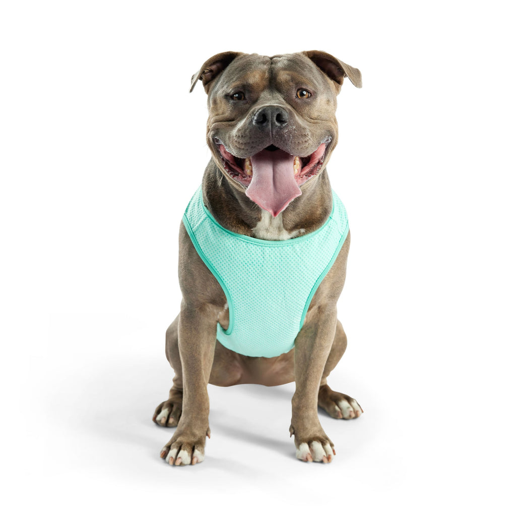 GF PET® Elasto-Fit Ice Vest - Aqua