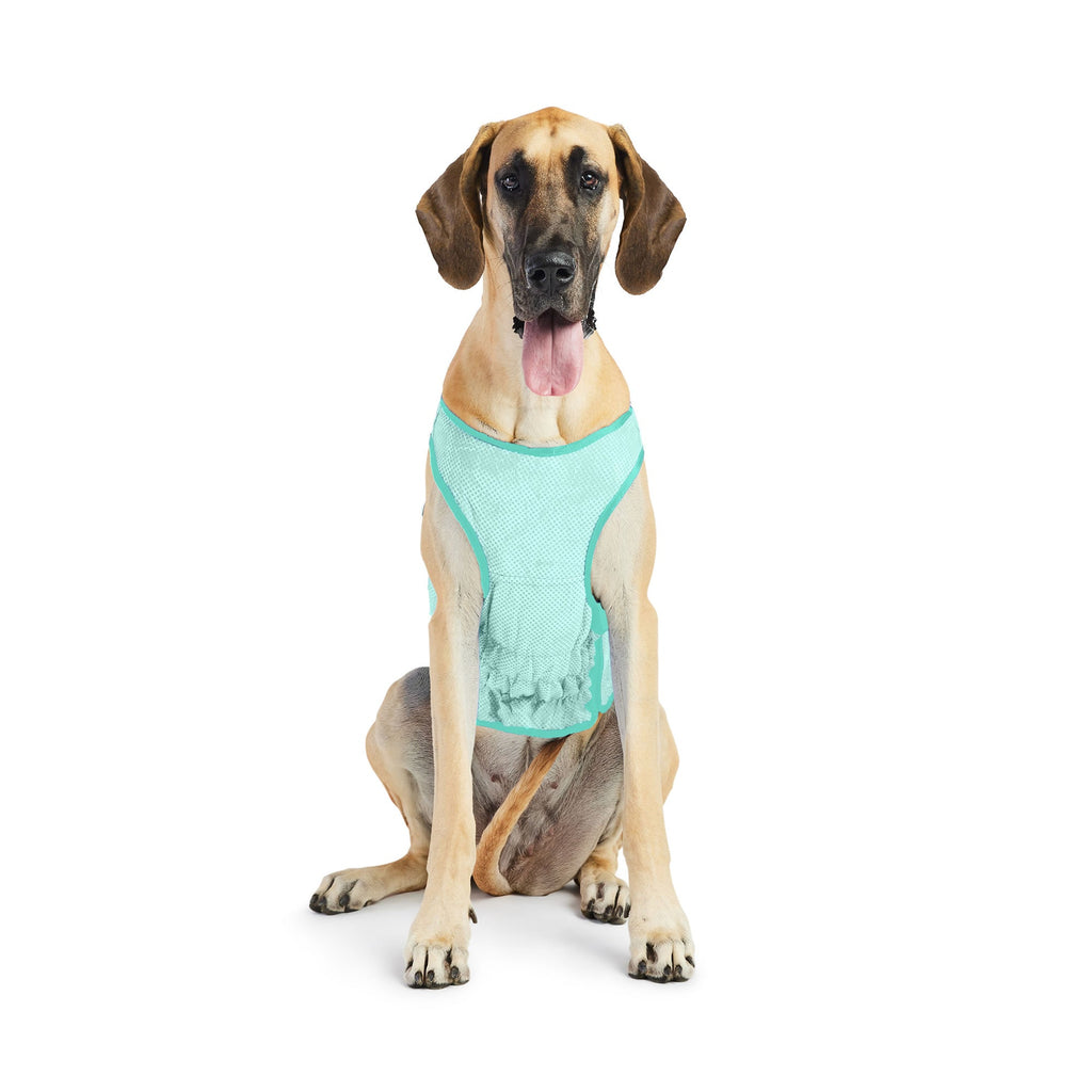 GF PET® Elasto-Fit Ice Vest - Aqua