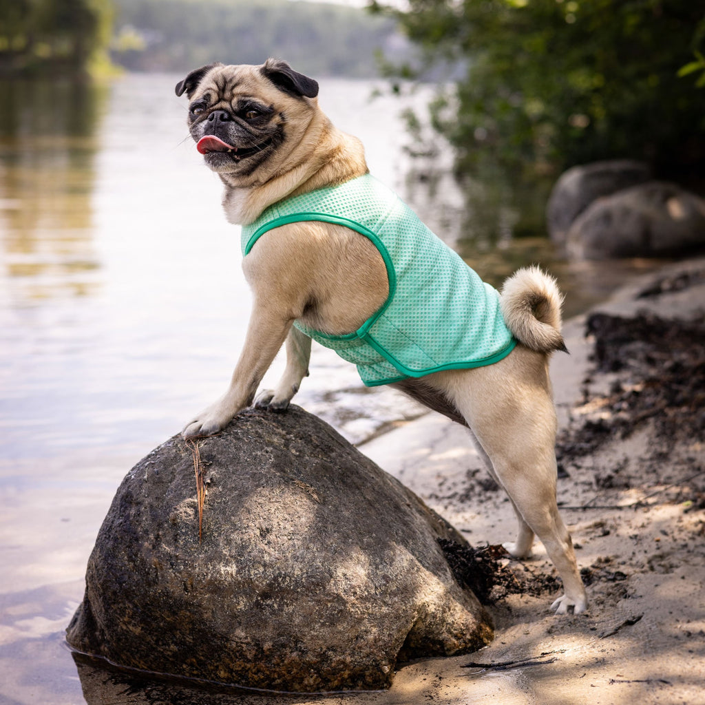 GF PET® Elasto-Fit Ice Vest - Aqua