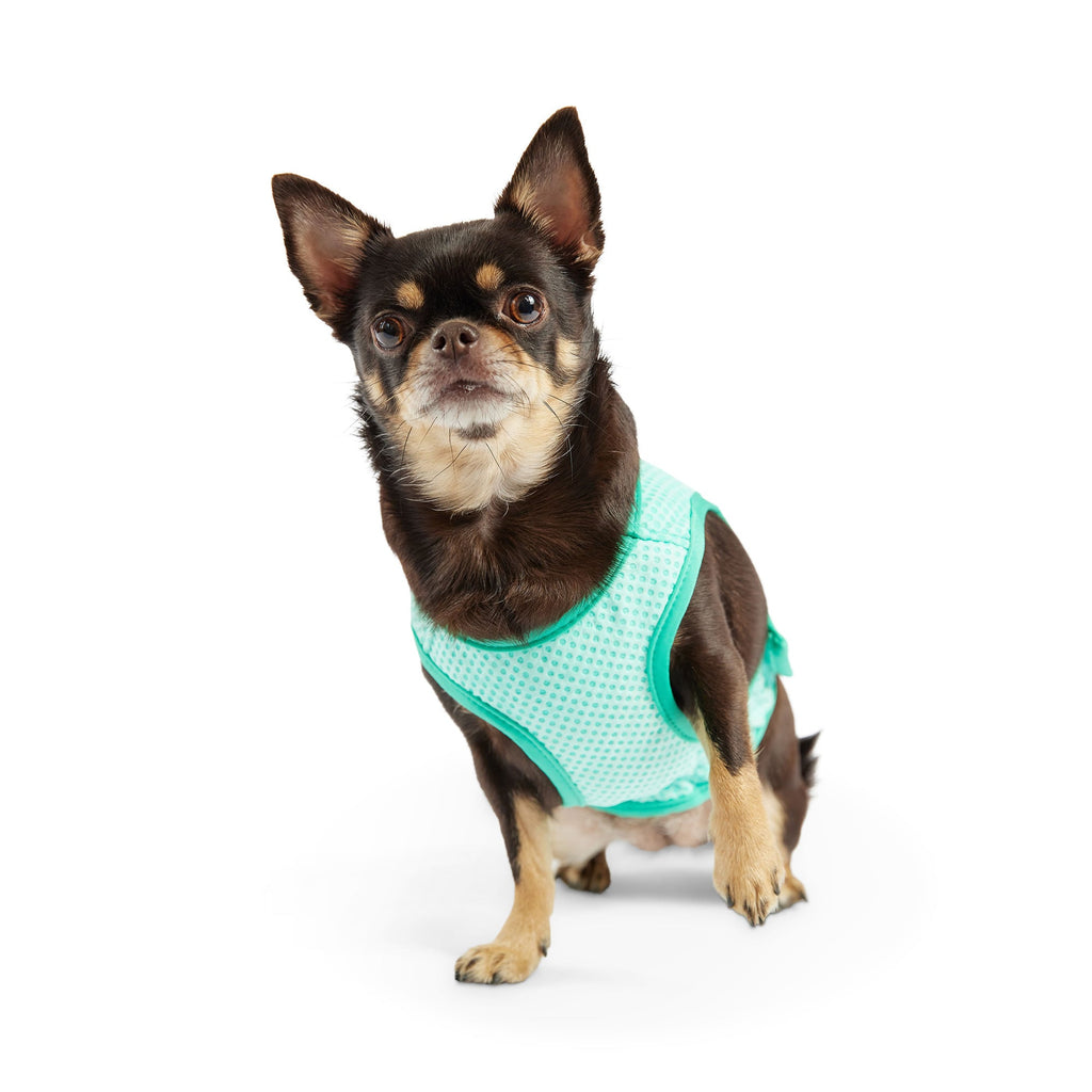 GF PET® Elasto-Fit Ice Vest - Aqua