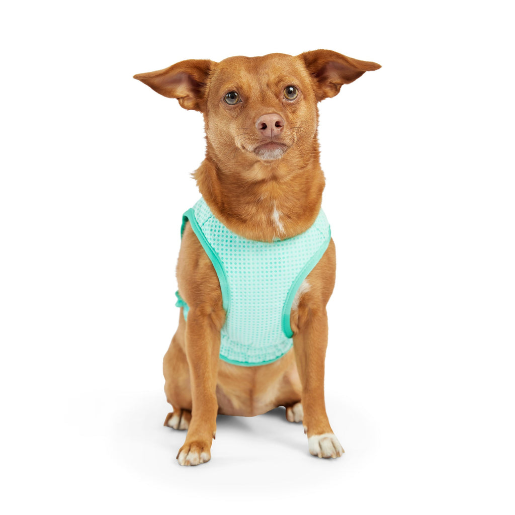 GF PET® Elasto-Fit Ice Vest - Aqua