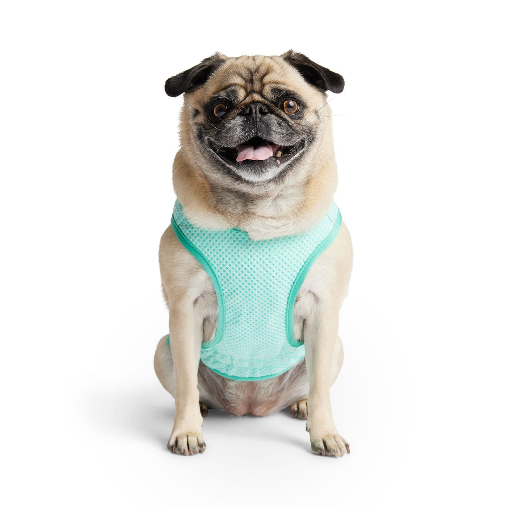 GF PET® Elasto-Fit Ice Vest - Aqua