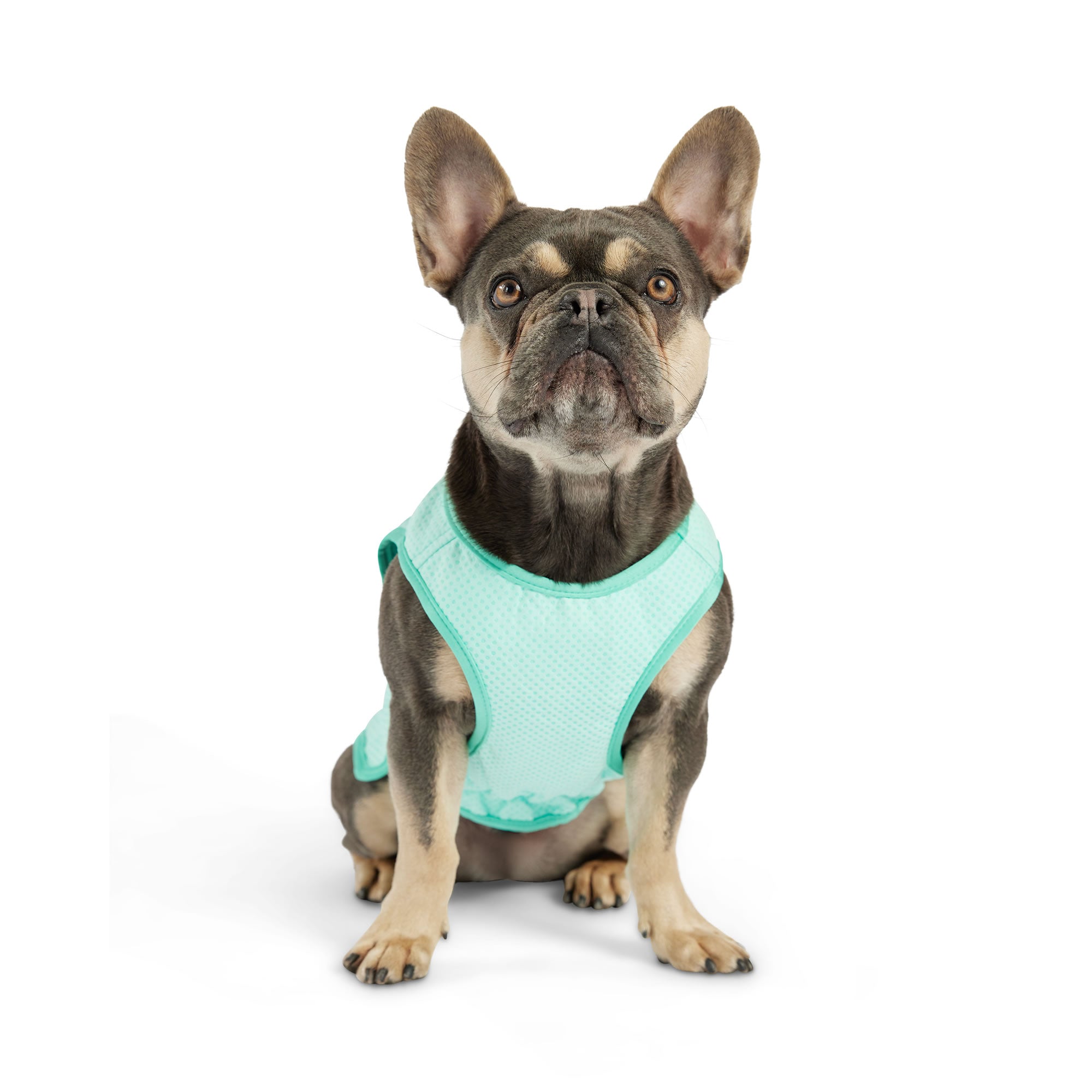 GF PET® Elasto-Fit Ice Vest - Aqua