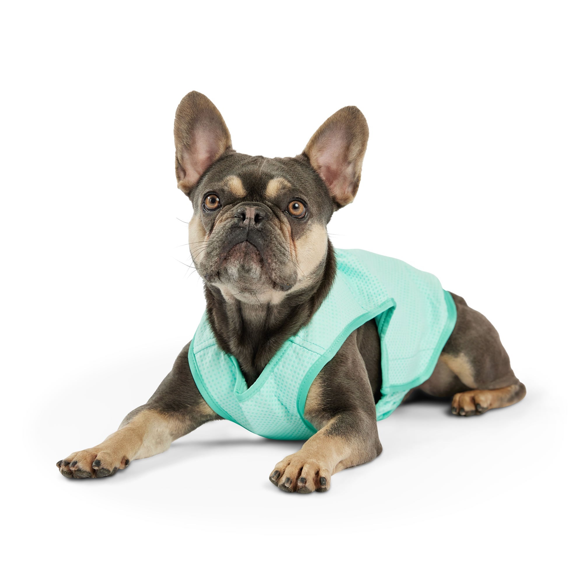 GF PET® Elasto-Fit Ice Vest - Aqua
