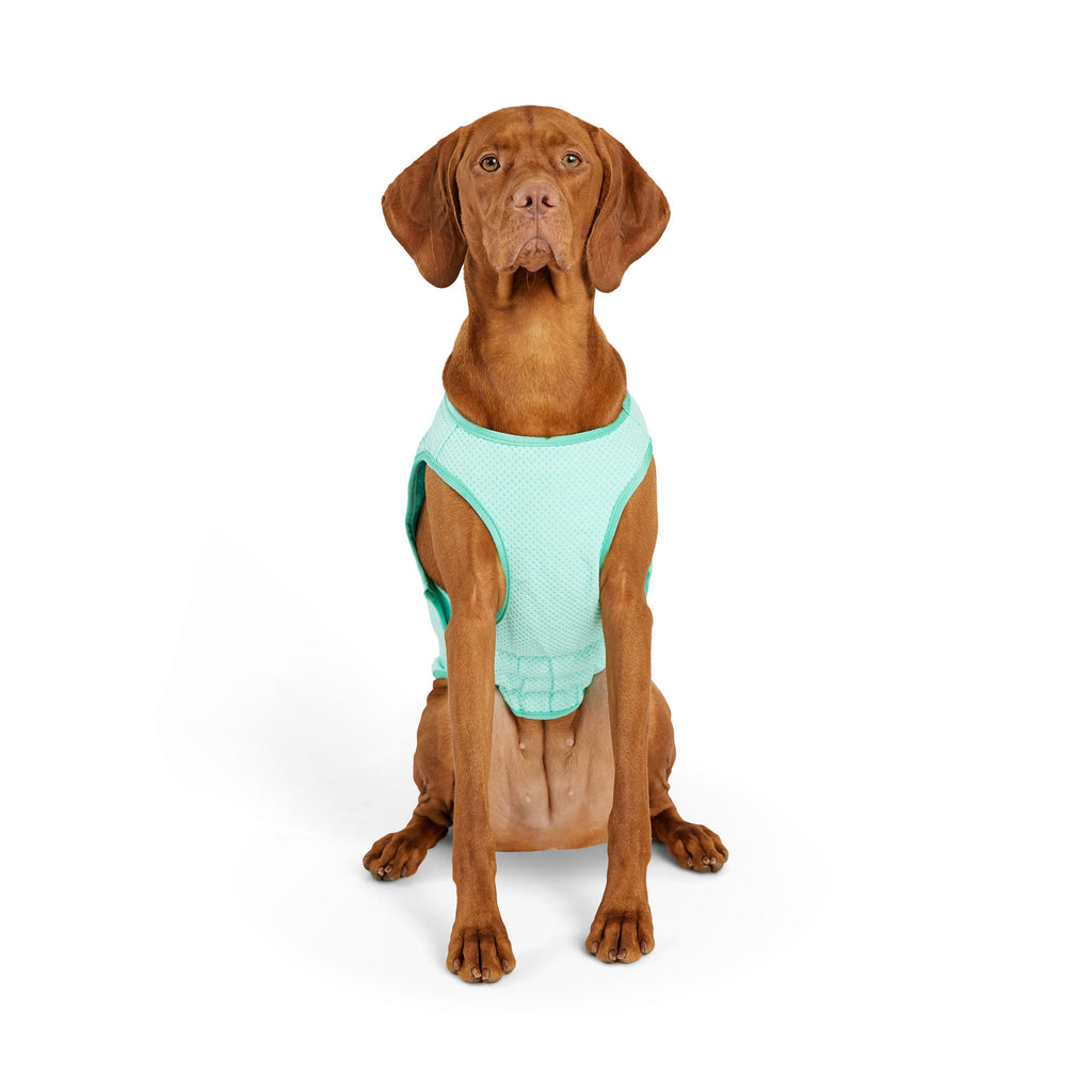 GF PET® Elasto-Fit Ice Vest - Aqua