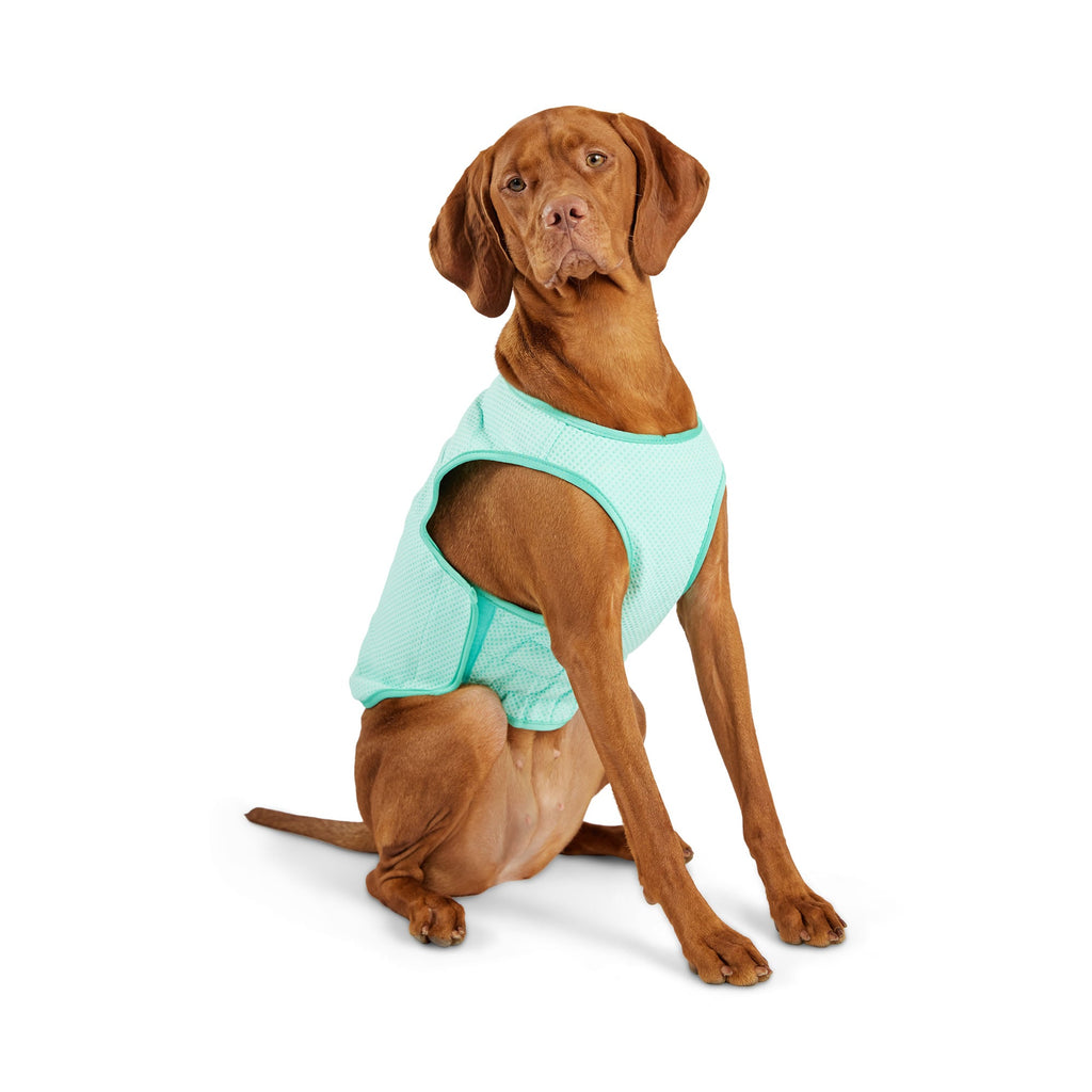 GF PET® Elasto-Fit Ice Vest - Aqua