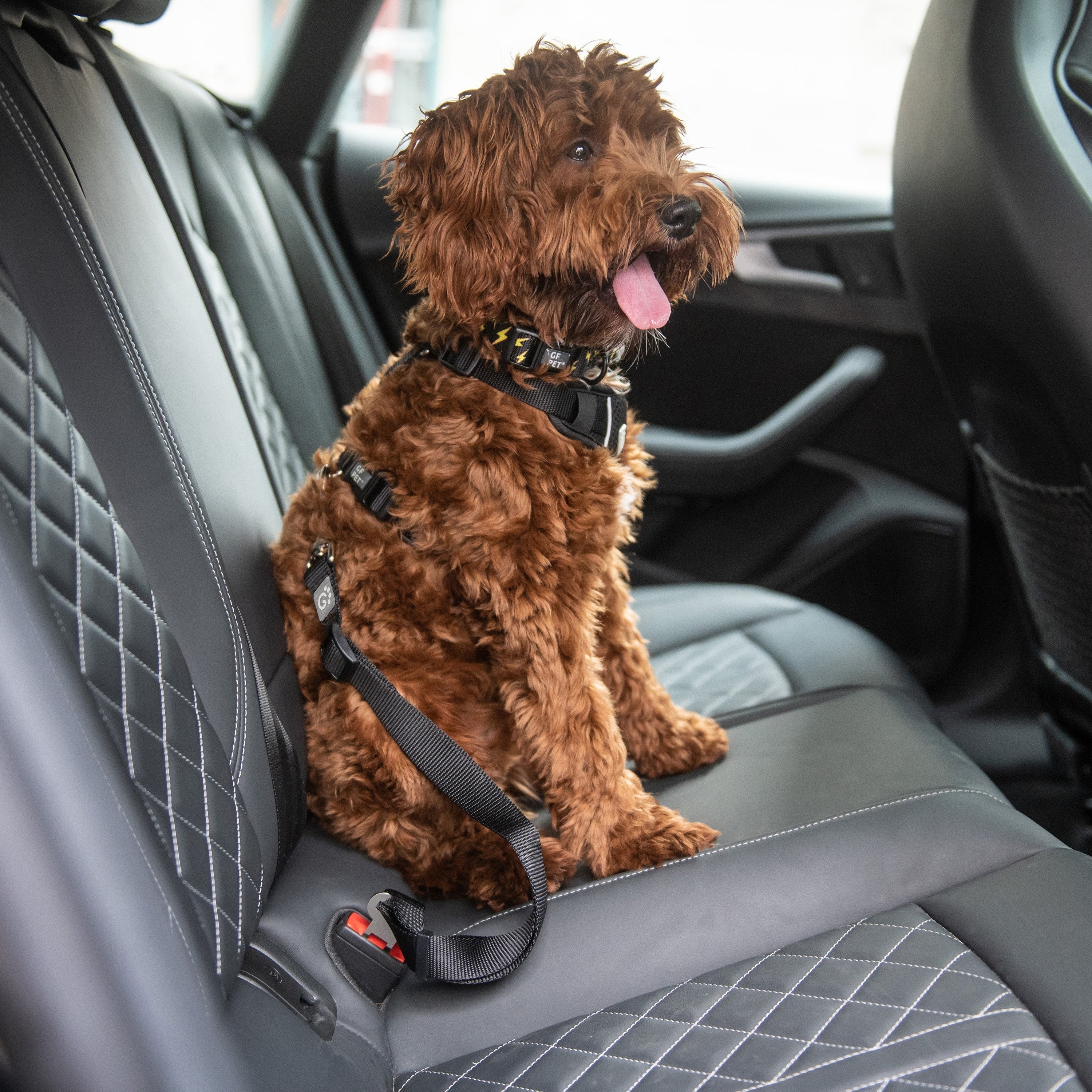 GF PET® Pet Seat Belt Tether