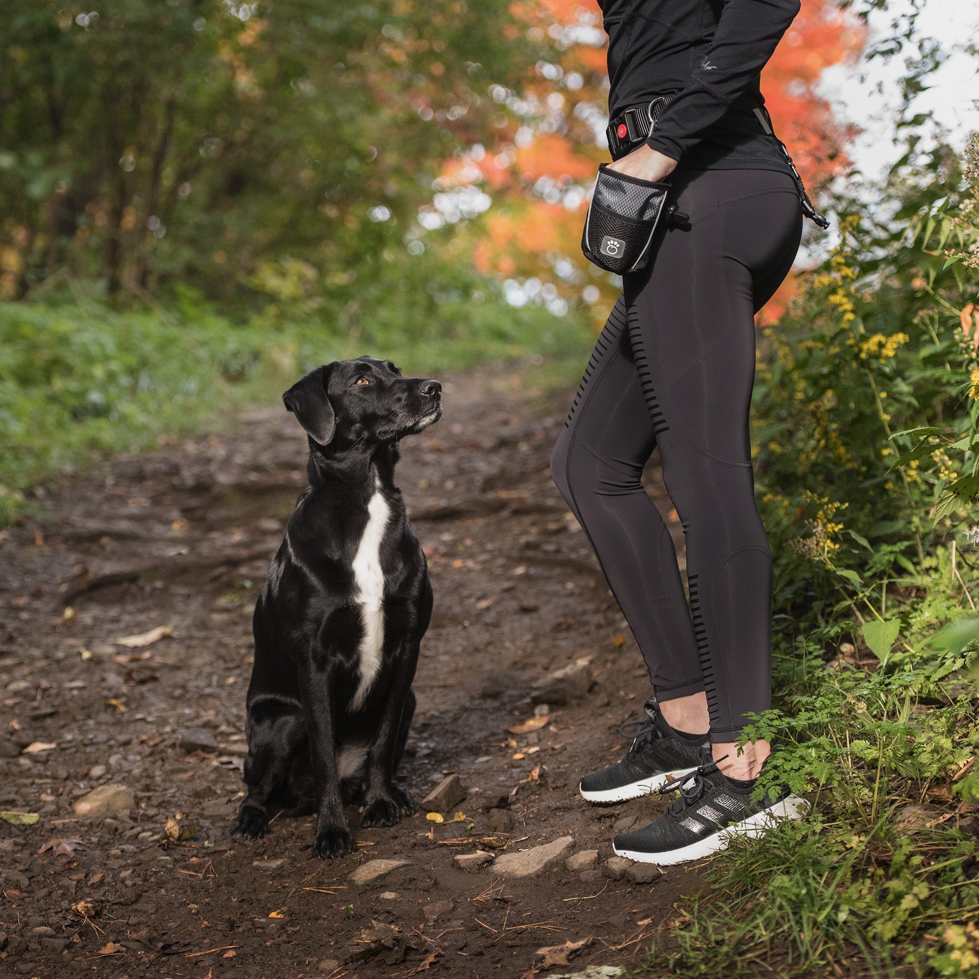 GF PET® Treat Bag