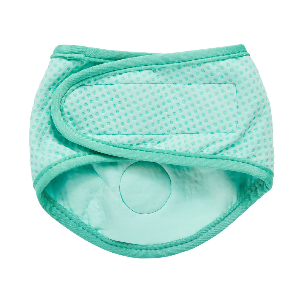 GF PET® Ice Band - Dog Cooling Bandana - Aqua