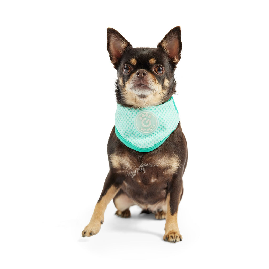 GF PET® Ice Band - Dog Cooling Bandana - Aqua