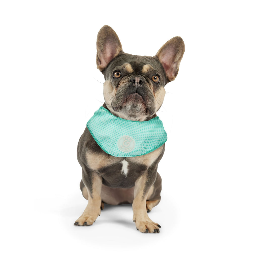 GF PET® Ice Band - Dog Cooling Bandana - Aqua