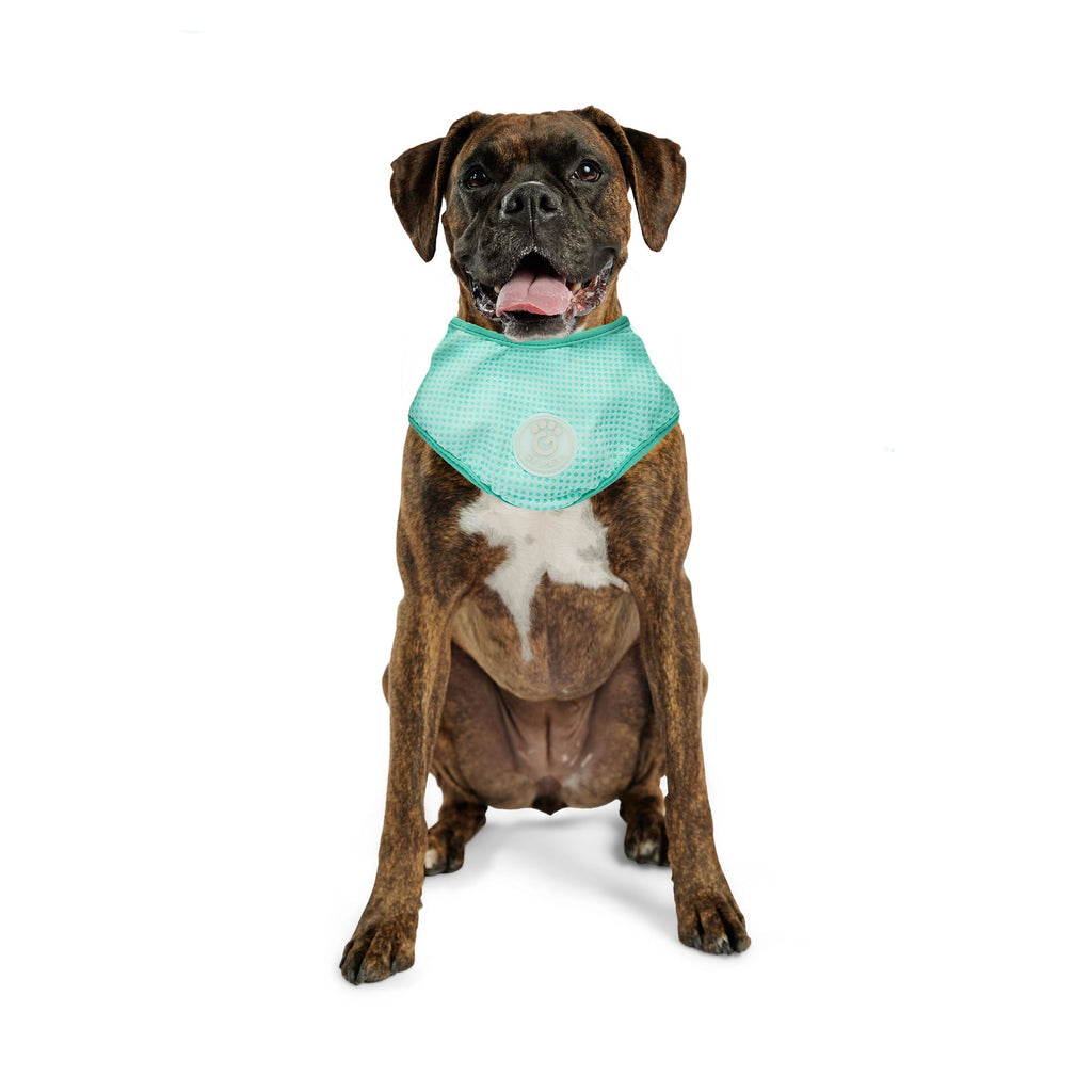 GF PET® Ice Band - Dog Cooling Bandana - Aqua
