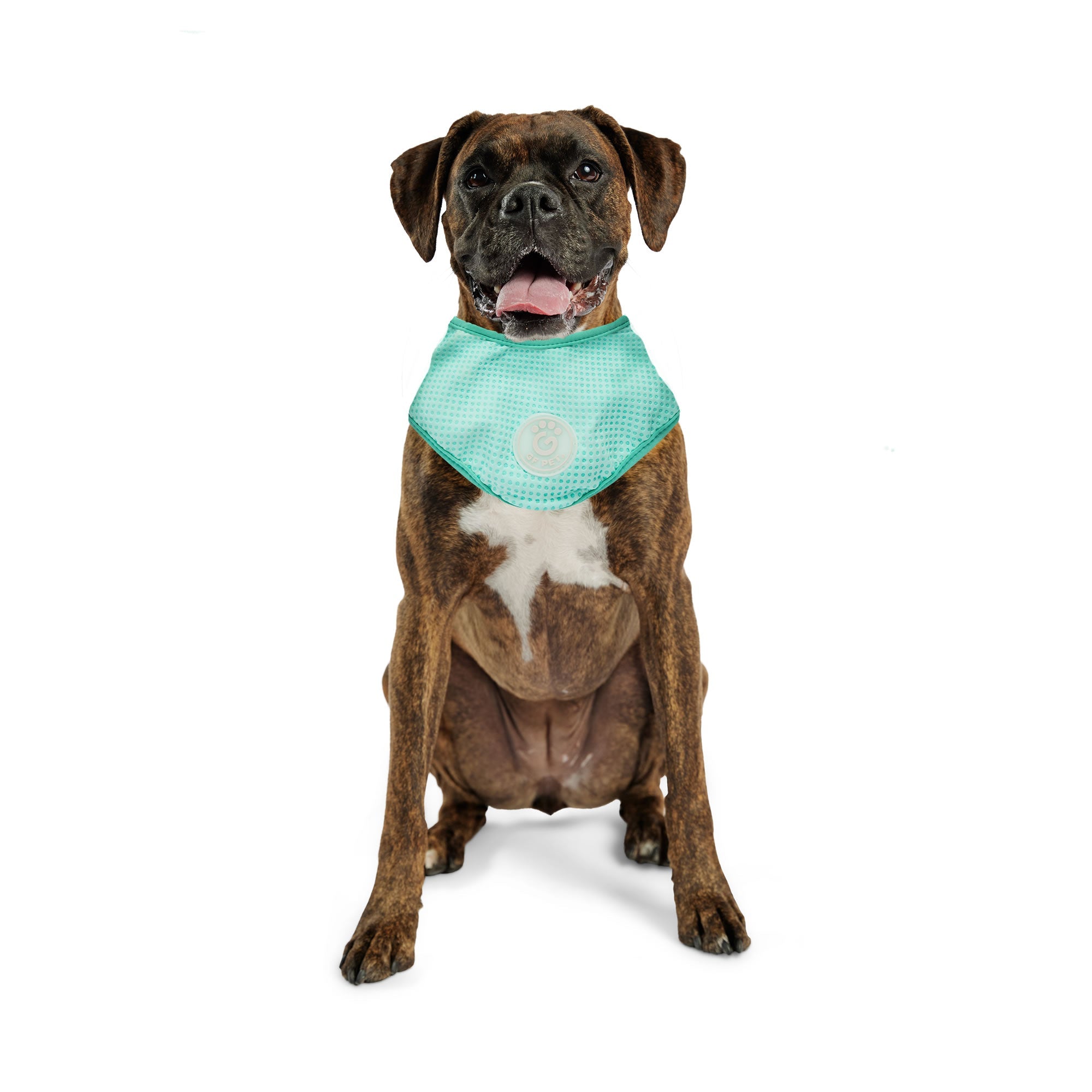 GF PET® Ice Band - Dog Cooling Bandana - Aqua
