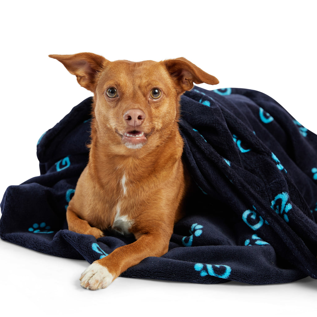 GF Pet Logo Blanket - Navy
