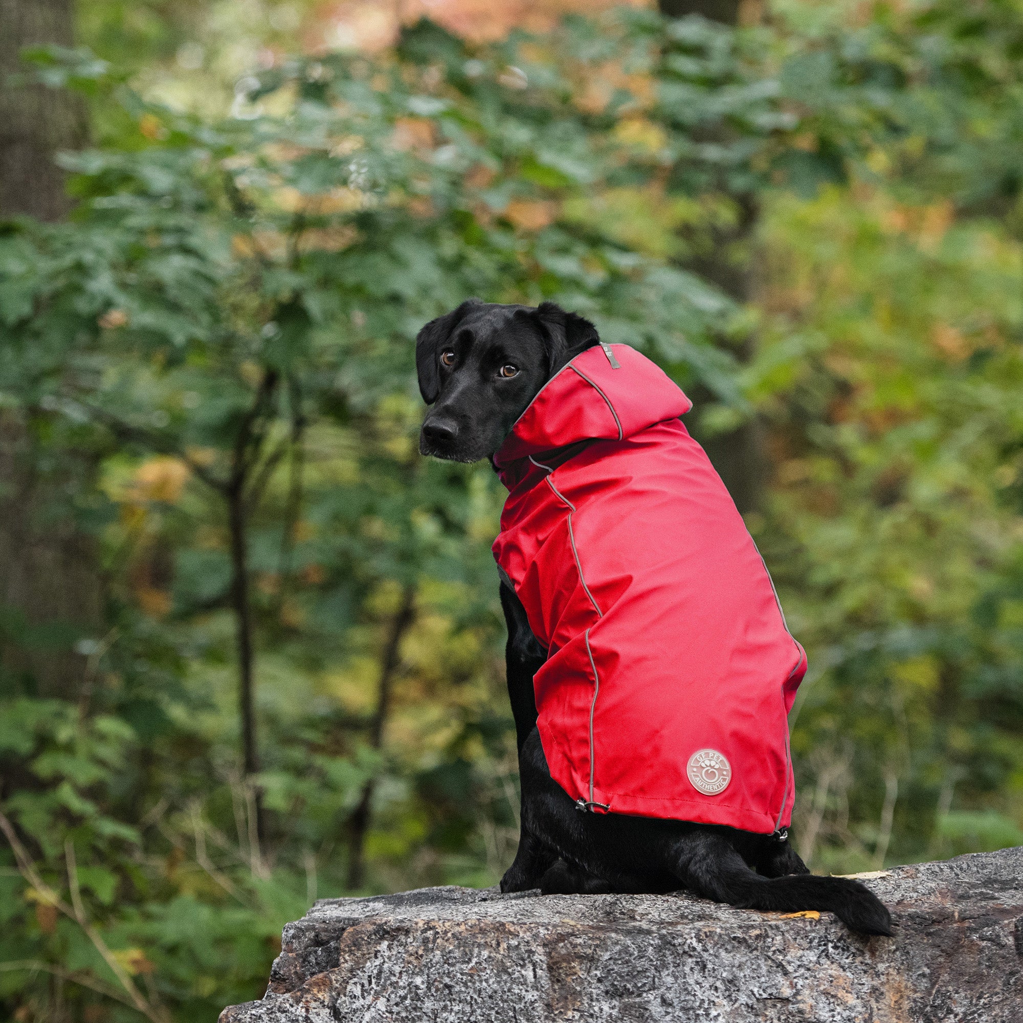 GF PET® Reversible Elasto-Fit Raincoat - Red