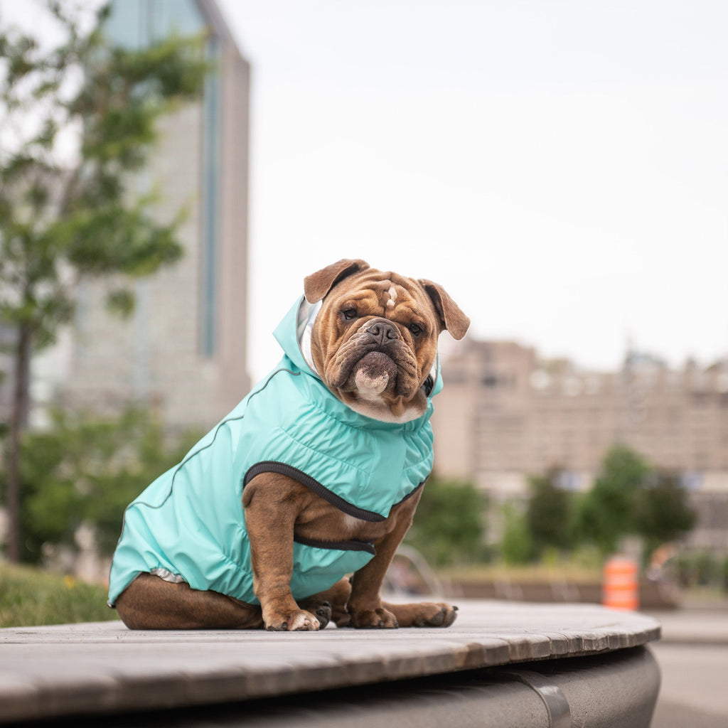 GF PET® Reversible Raincoat - Neon Aqua with Iridescent