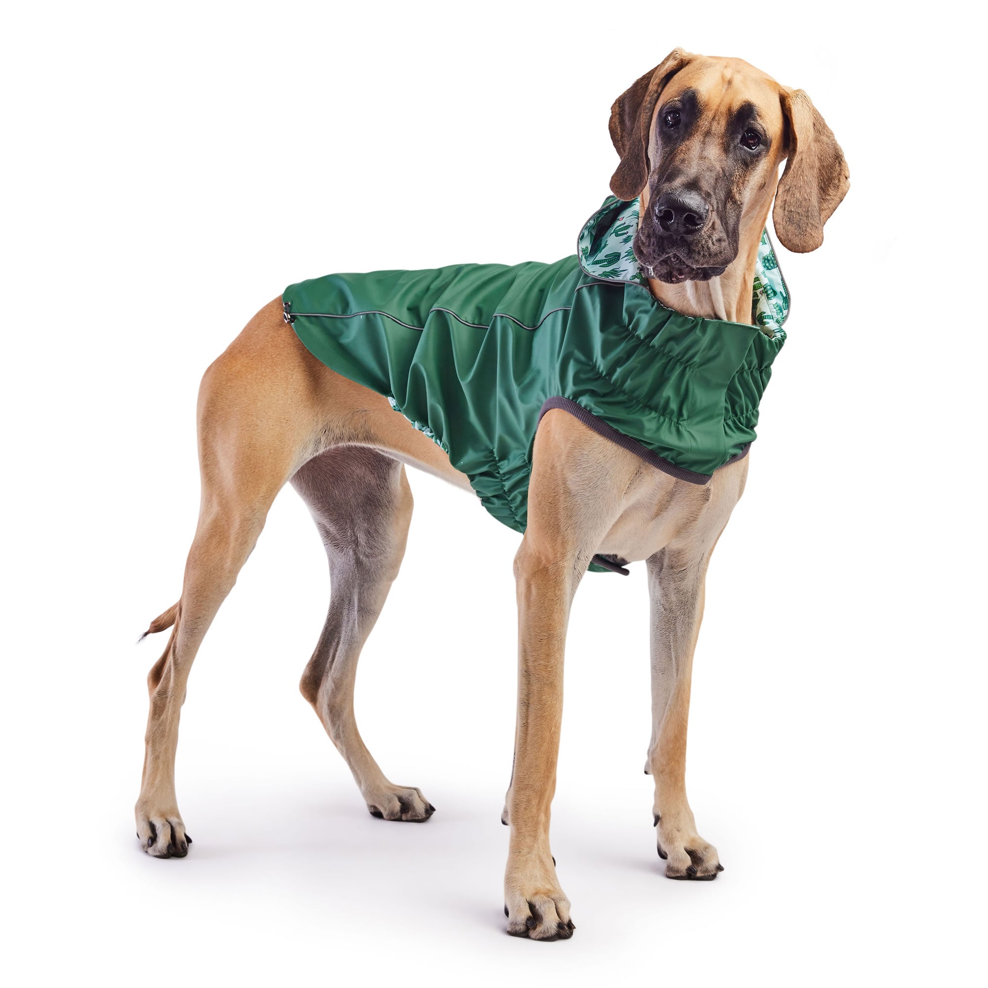 GF PET® Reversible Elasto-Fit Raincoat - Green/Green