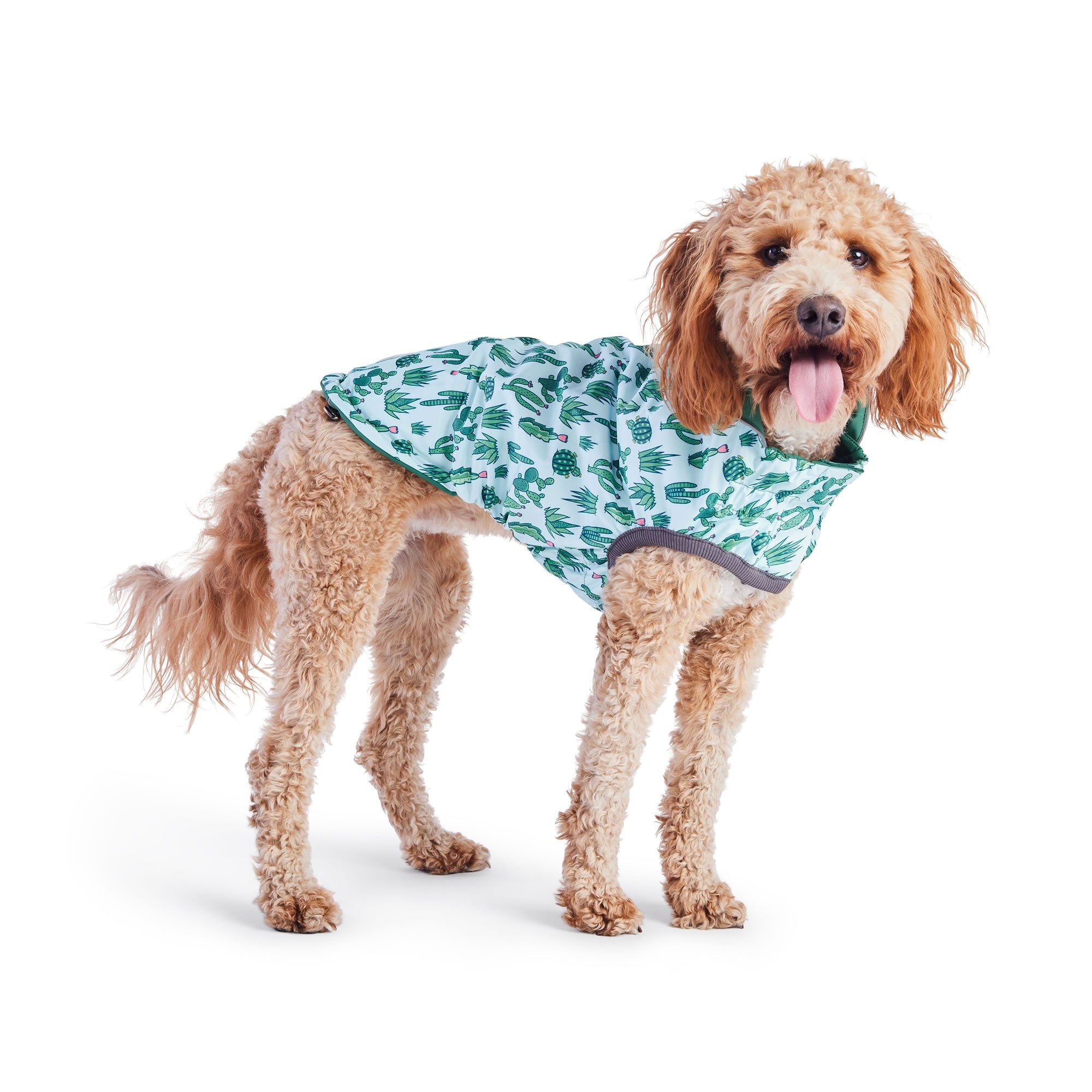 GF PET® Reversible Elasto-Fit Raincoat - Green/Green