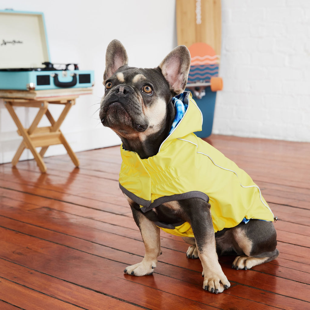 GF PET® Reversible Elasto-Fit Raincoat - Yellow/Blue