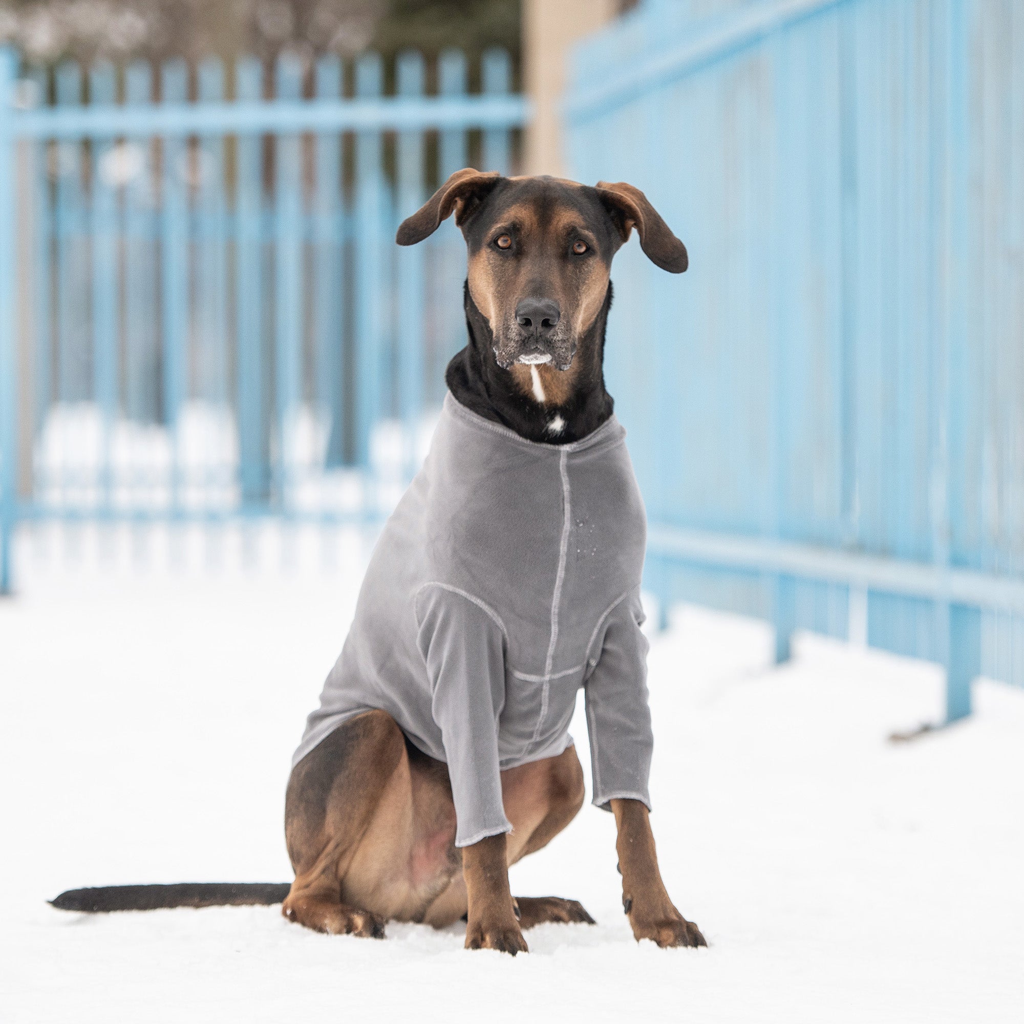 GF PET® Gondola Base Layer - Charcoal