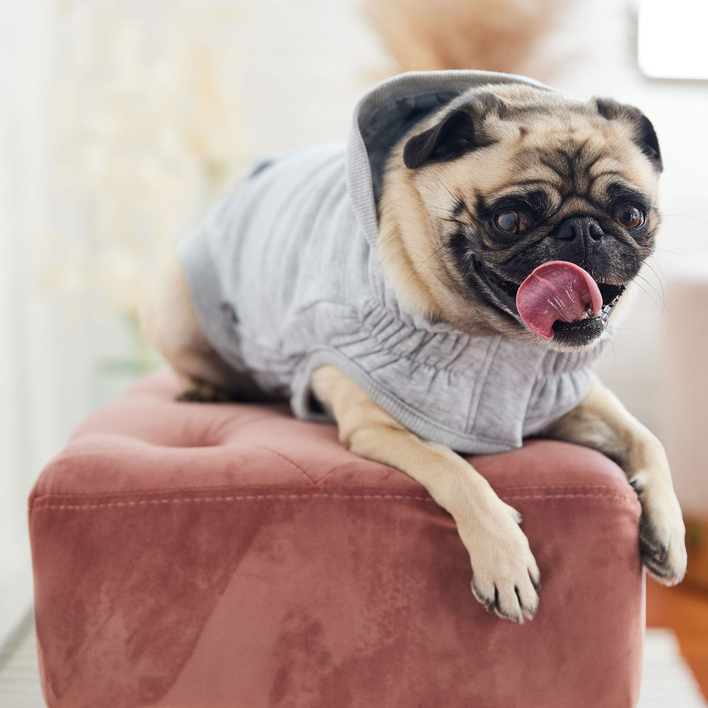 GF PET® Urban Hoodie - Heather Grey