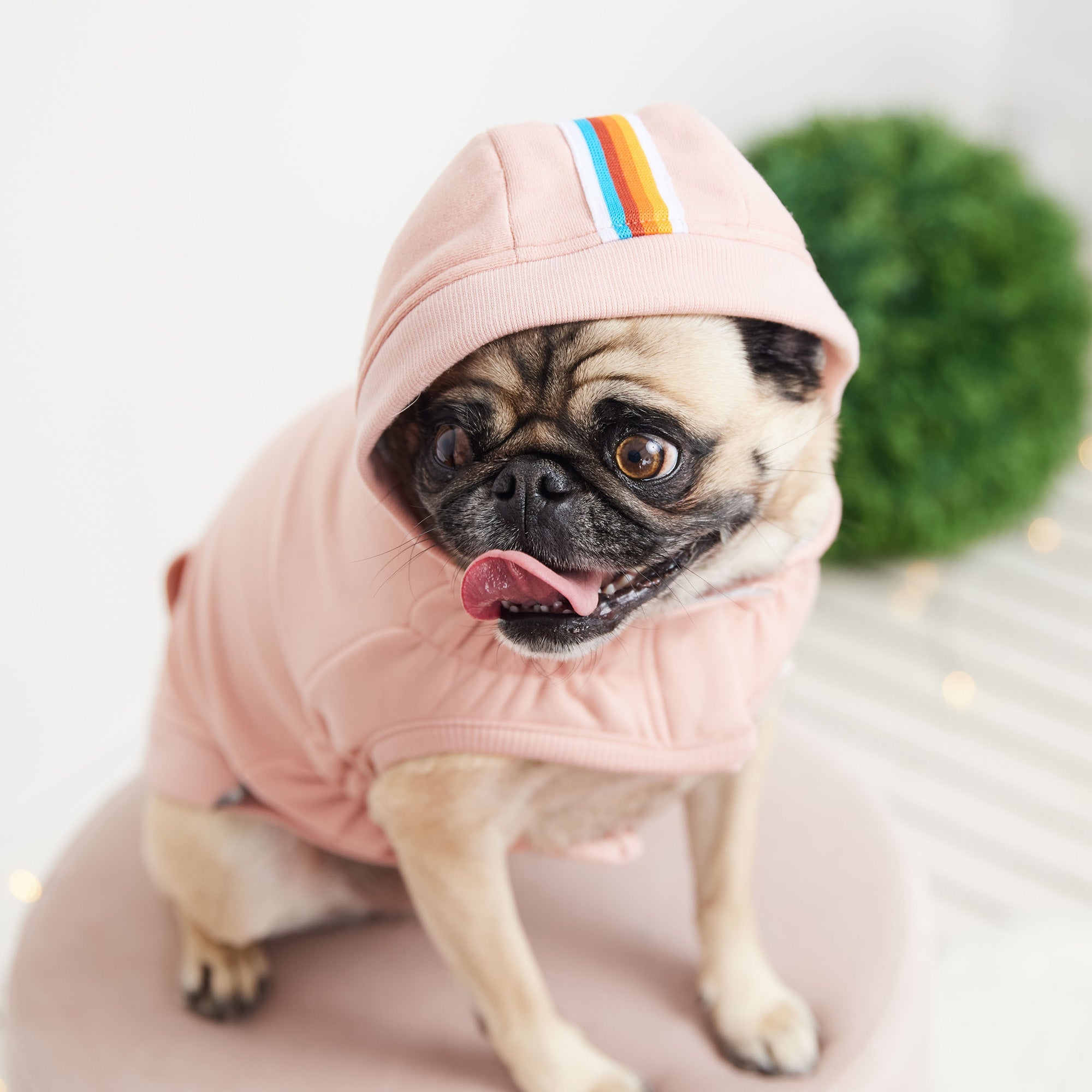 GF PET® Urban Hoodie - Pink