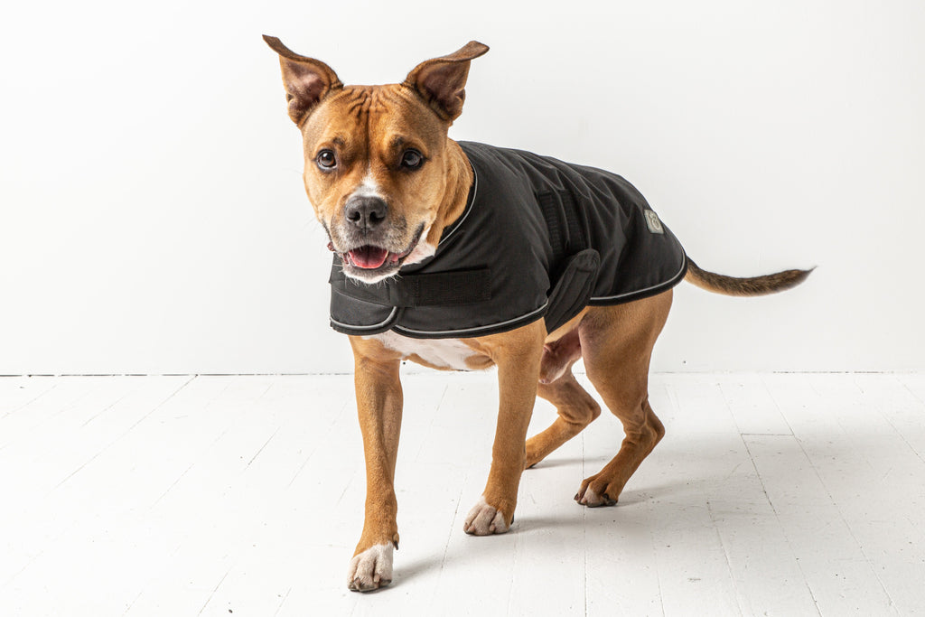 GF PET® Blanket Jacket - Black