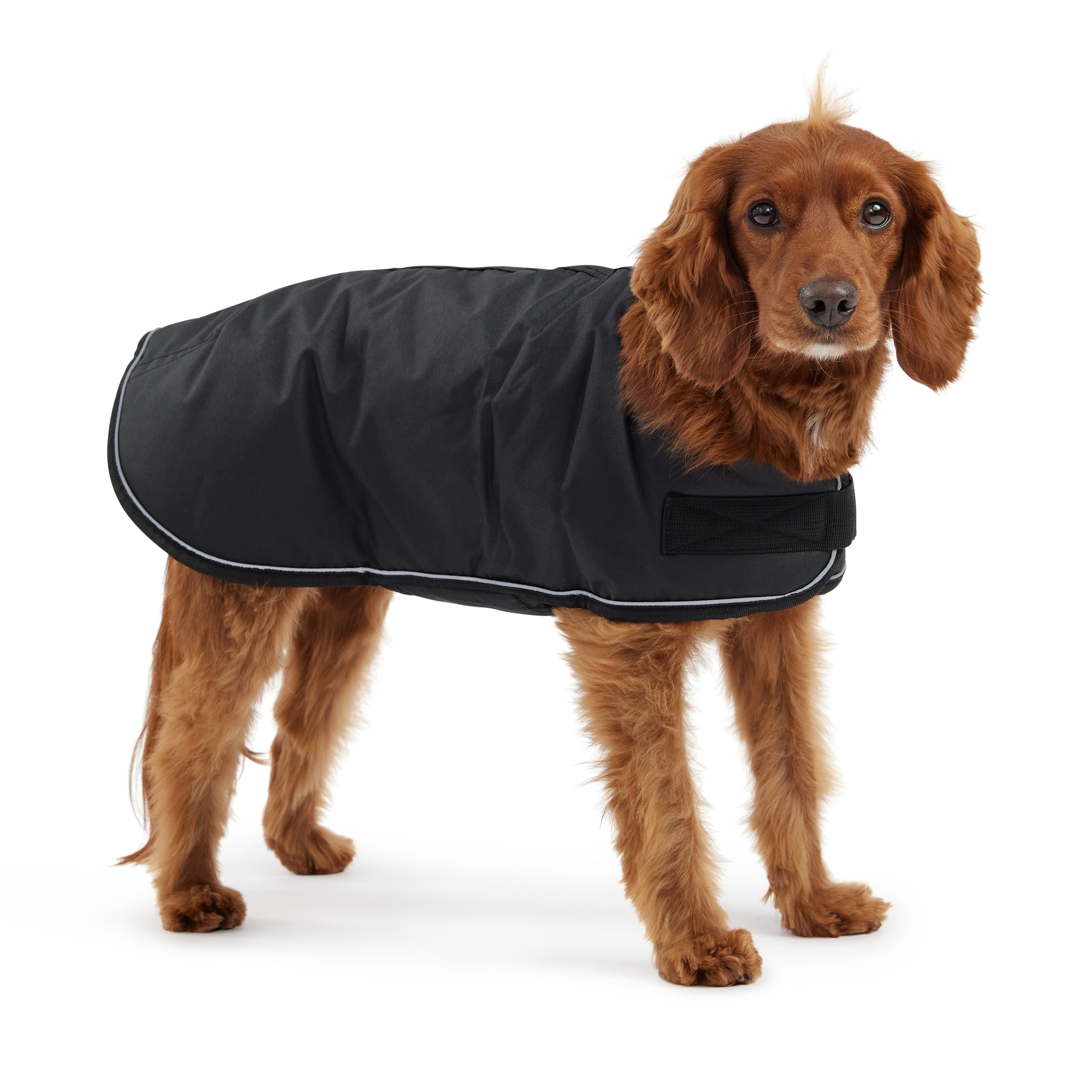 GF PET® Blanket Jacket - Black
