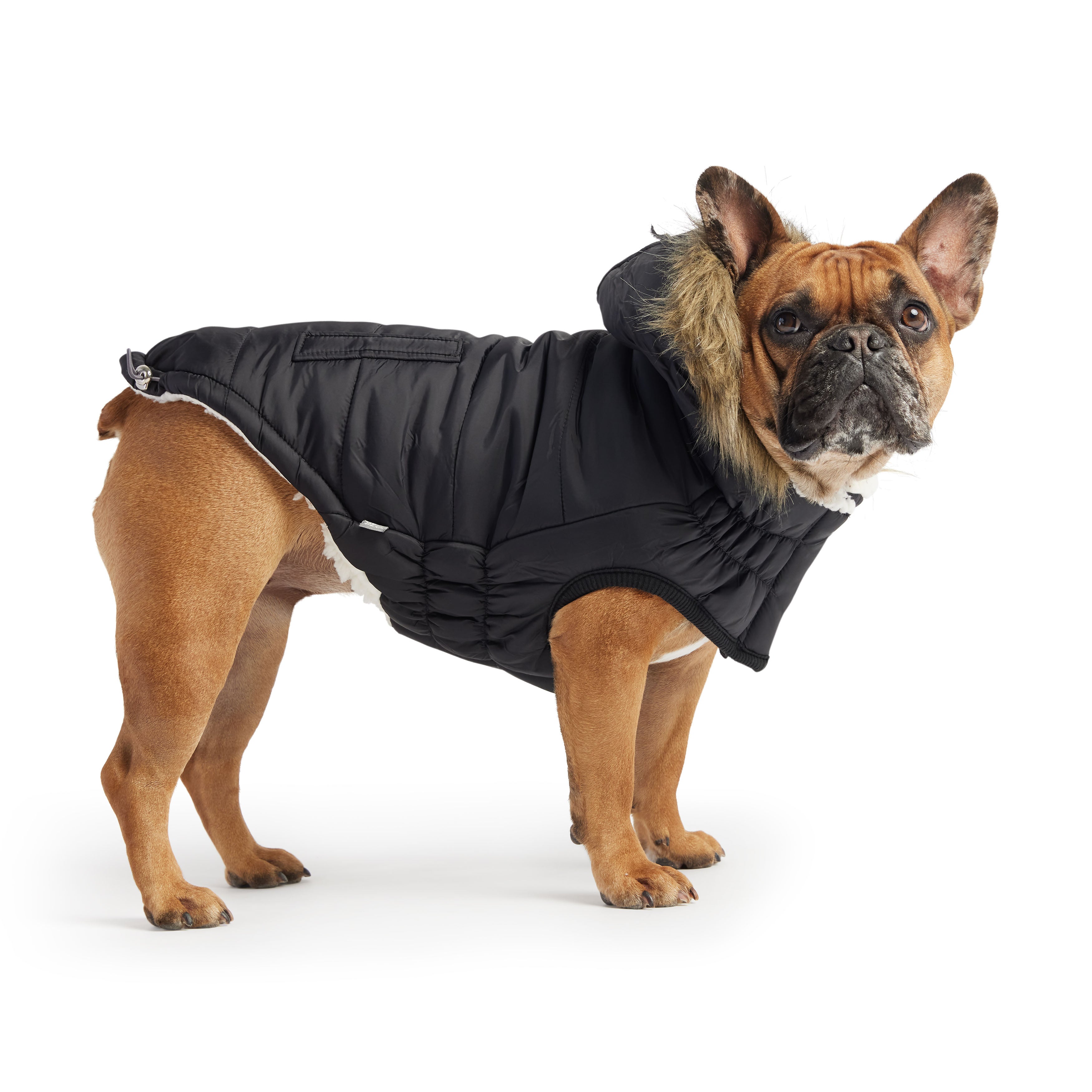 GF PET® Urban Parka - Black