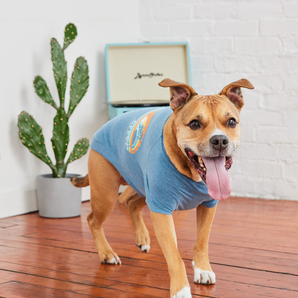 GF PET® Graphic Tee - Blue