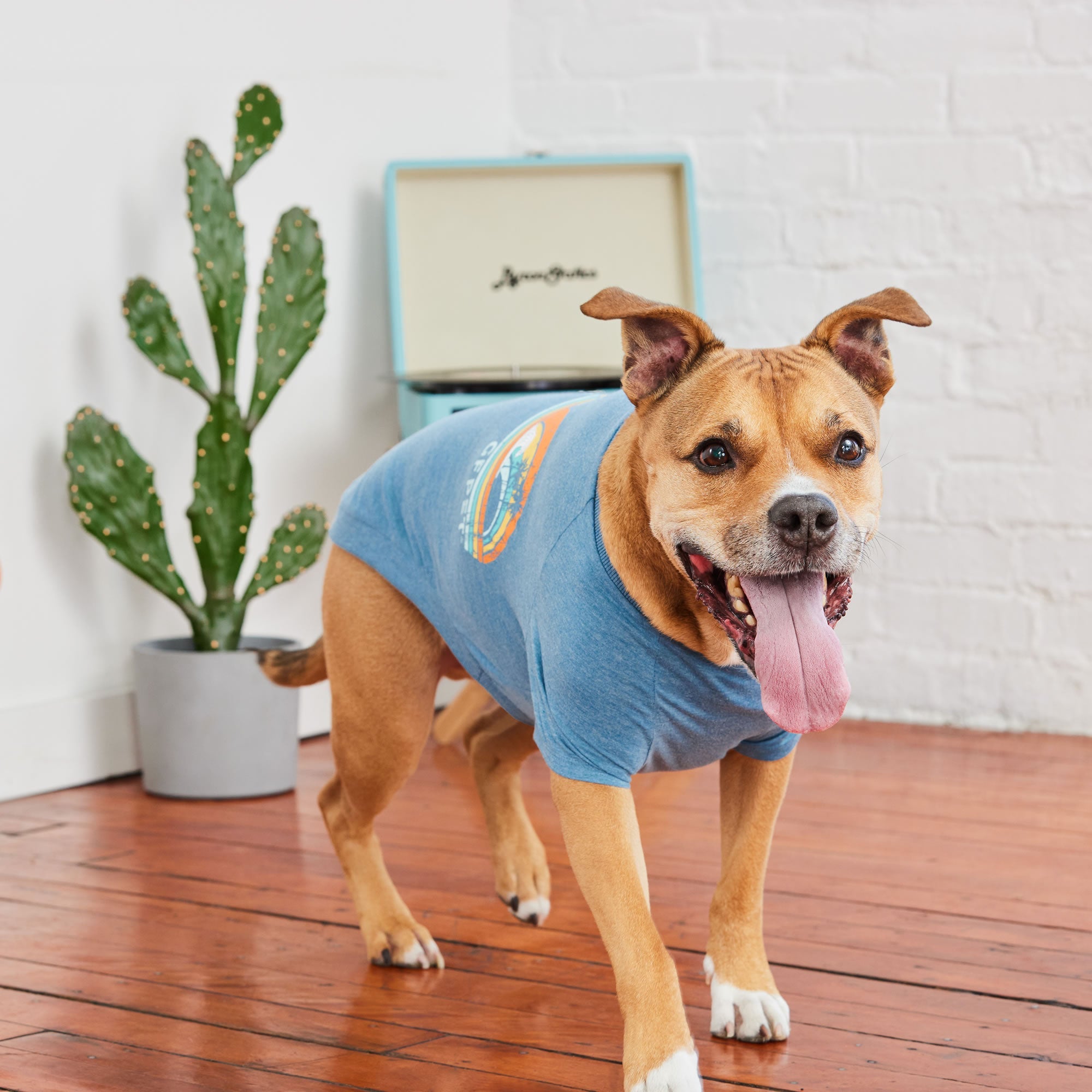 GF PET® Graphic Tee - Blue
