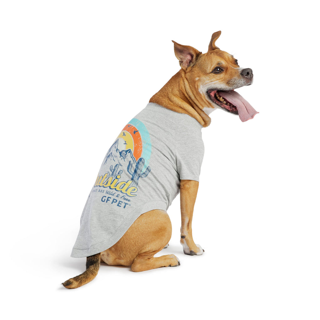 GF PET® Graphic Tee - Grey