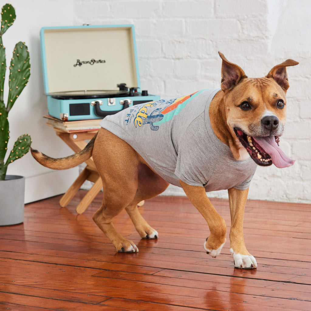GF PET® Graphic Tee - Grey
